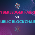 Hyperledger Fabric vs Public Blockchain An In-Depth Comparison