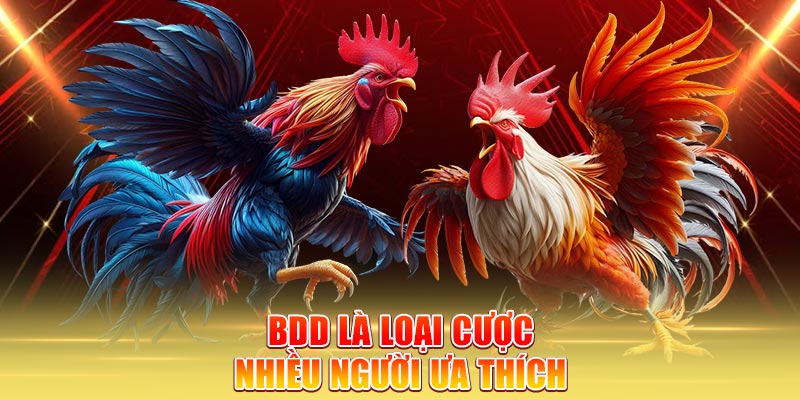 bdd-la-loai-cuoc-nhieu-nguoi-ua-thich