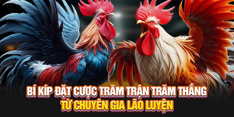 bi-kip-dat-cuoc-tram-tran-tram-thang-tu-chuyen-gia-lao-luyen