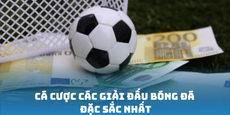 ca-cuoc-cac-giai-dau-bong-da