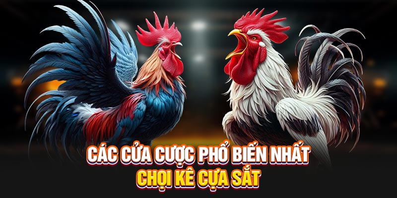 cac-cua-cuoc-pho-bien-nhat-choi-ke-cua-sat