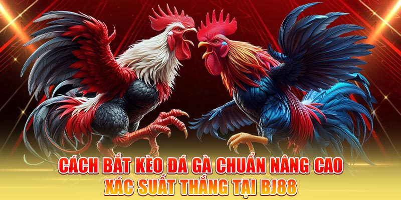 cach-bat-keo-da-ga-chuan-nang-cao-xac-suat-thang-tai-bj88