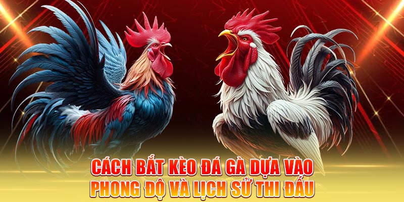 cach-bat-keo-da-ga-dua-vao-phong-do-va-lich-su-thi-dau