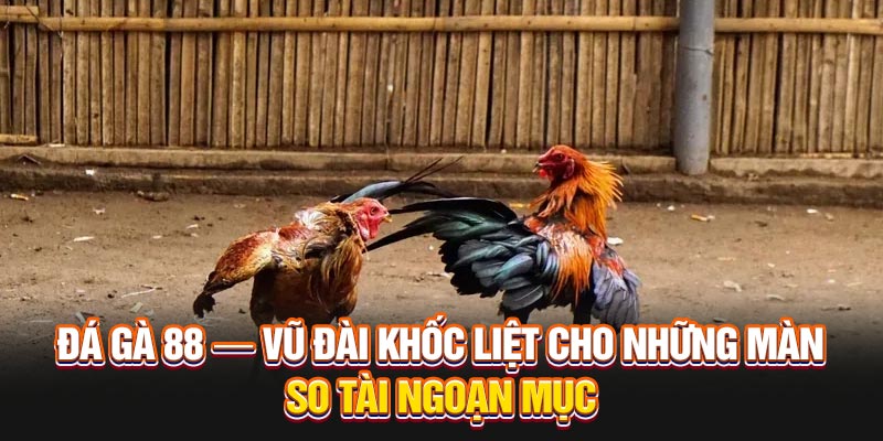 da-ga-88-vu-dai-khoc-liet-cho-nhung-man-so-tai-ngoan-muc
