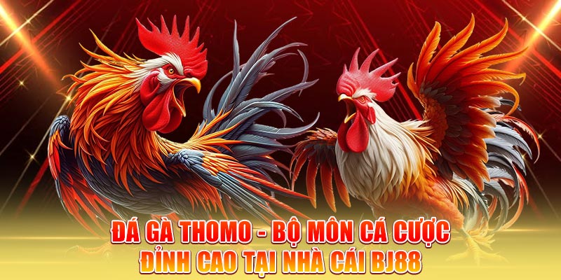 da-ga-thomo-bo-mon-ca-cuoc-dinh-cao-tai-nha-cai-bj88-