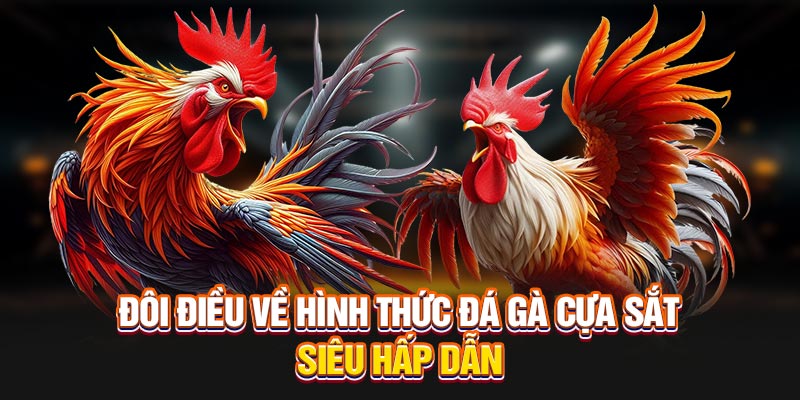 doi-dieu-ve-hinh-thuc-da-ga-cua-sat-sieu-hap-dan