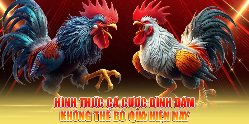 hinh-thuc-ca-cuoc-dinh-dam-khong-the-bo-qua-hien-nay