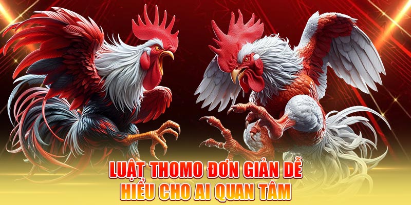 luat-thomo-don-gian-de-hieu-cho-ai-quan-tam