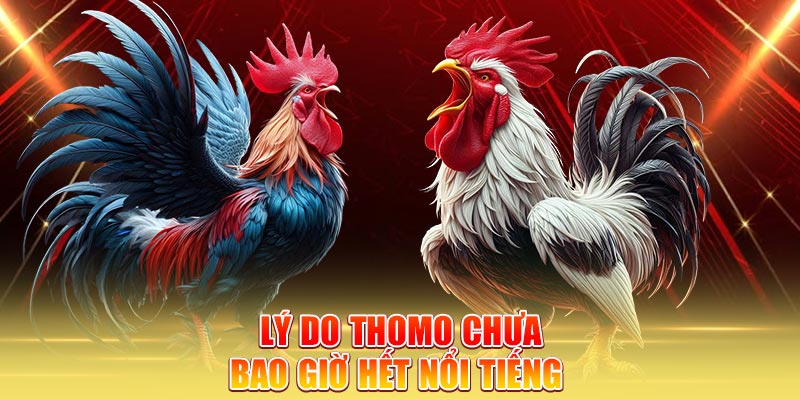 ly-do-thomo-chua-bao-gio-het-noi-tieng-