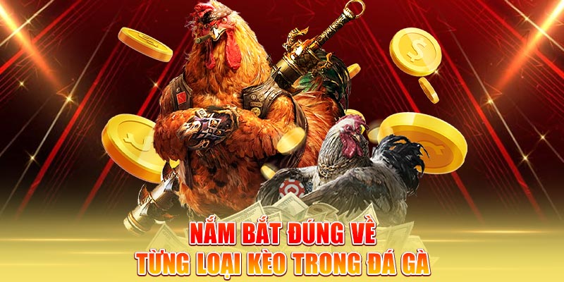 nam-bat-dung-ve-tung-loai-keo-trong-da-ga