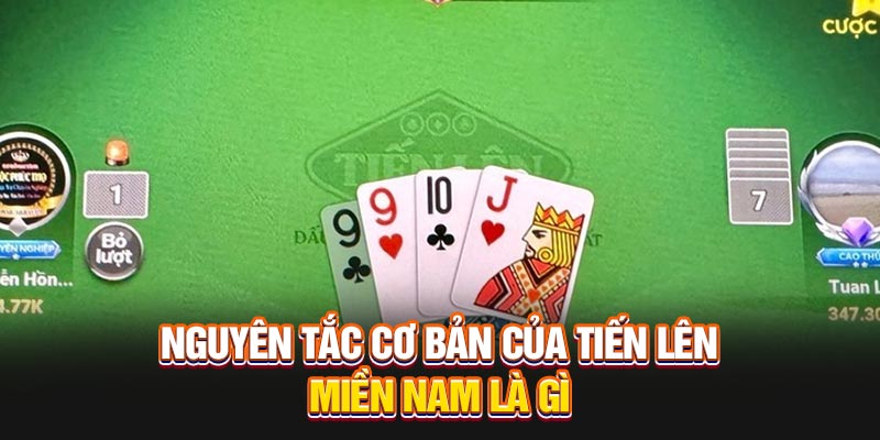 nguyen-tac-co-ban-cua-tien-len-mien-nam-la-gi
