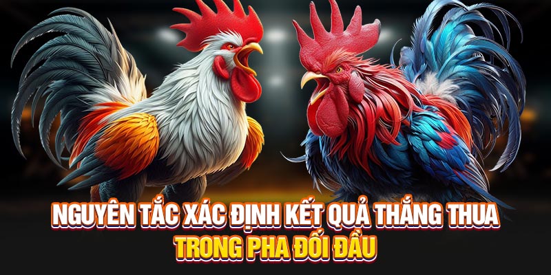 nguyen-tac-xac-dinh-ket-qua-thang-thua-trong-pha-doi-dau
