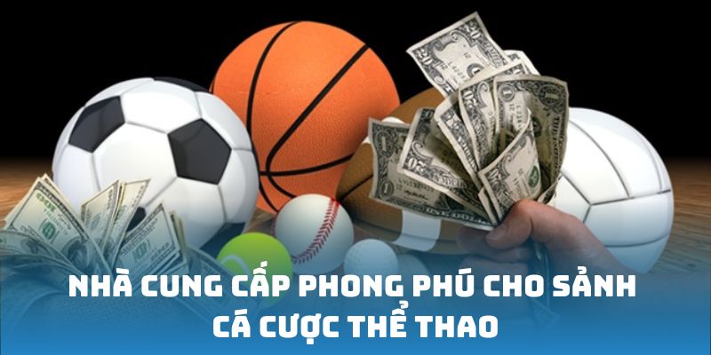 nha-cung-cap-phong-phu