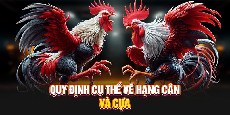 quy-dinh-cu-the-ve-hang-can-va-cua