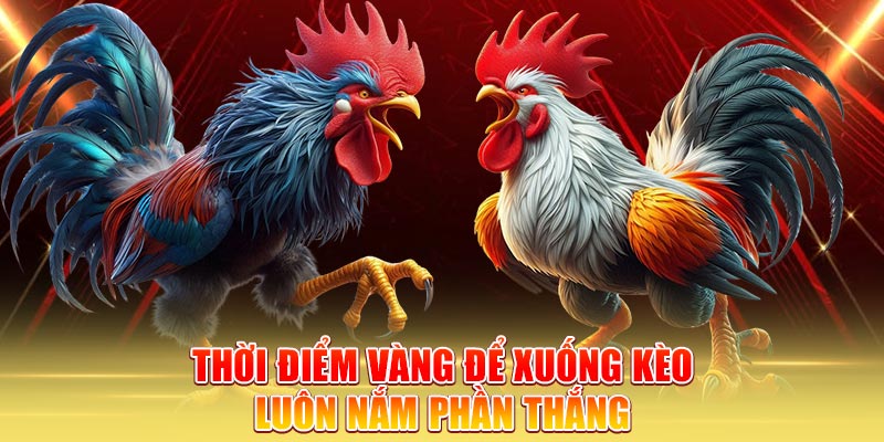 thoi-diem-vang-de-xuong-keo-luon-nam-phan-thang