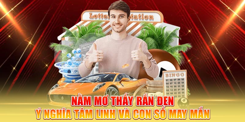 nam-mo-thay-ran-den-y-nghia-tam-linh-va-con-so-may-man